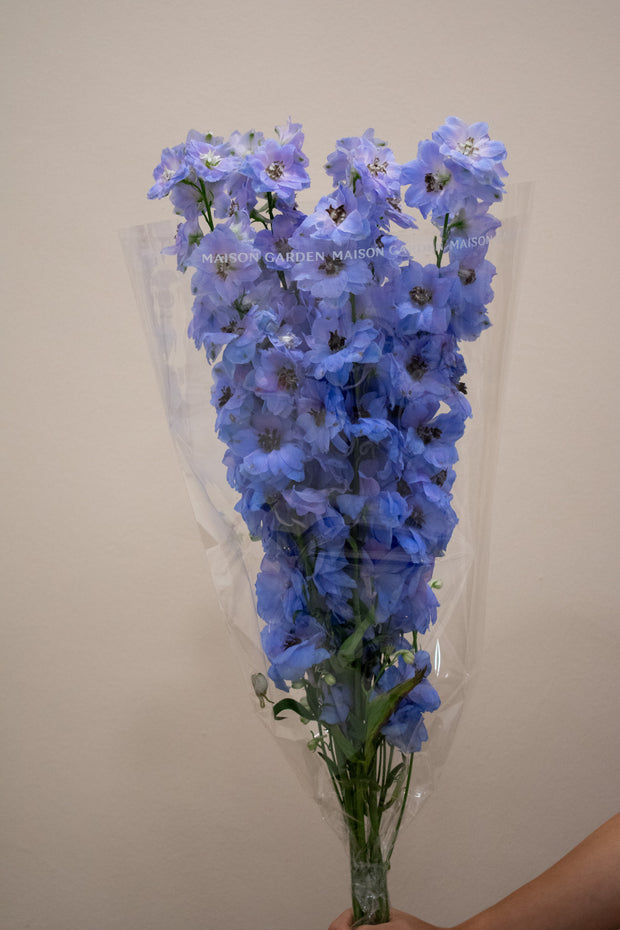 DELPHINIUM LAVENDER
