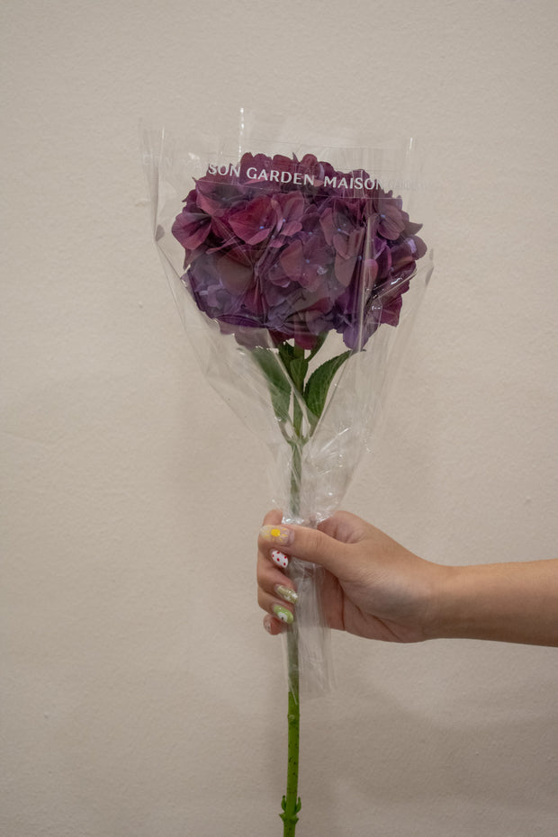 HYDRANGEA RUBY AUBERGINE