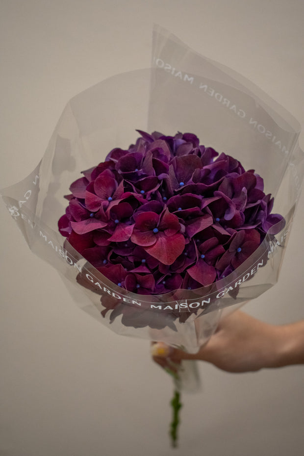 HYDRANGEA RUBY AUBERGINE