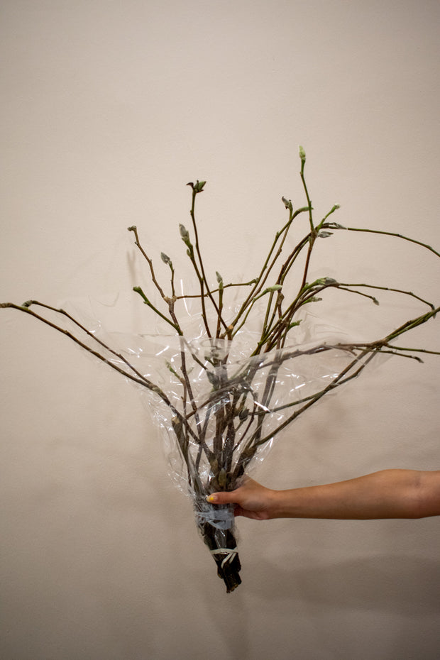 MAGNOLIA DECO BRANCHES