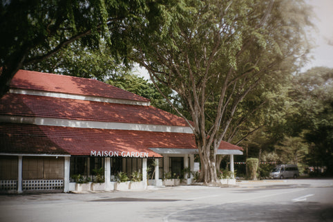 Behind Maison Garden: A Blooming Vision