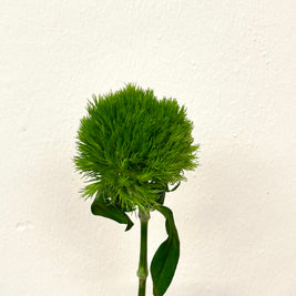 GREEN TRICK