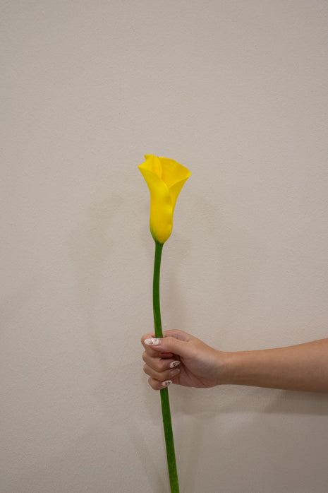 CALLA LILY GOLDCUP