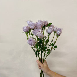 SPRAY ROSE LIGHT PURPLE