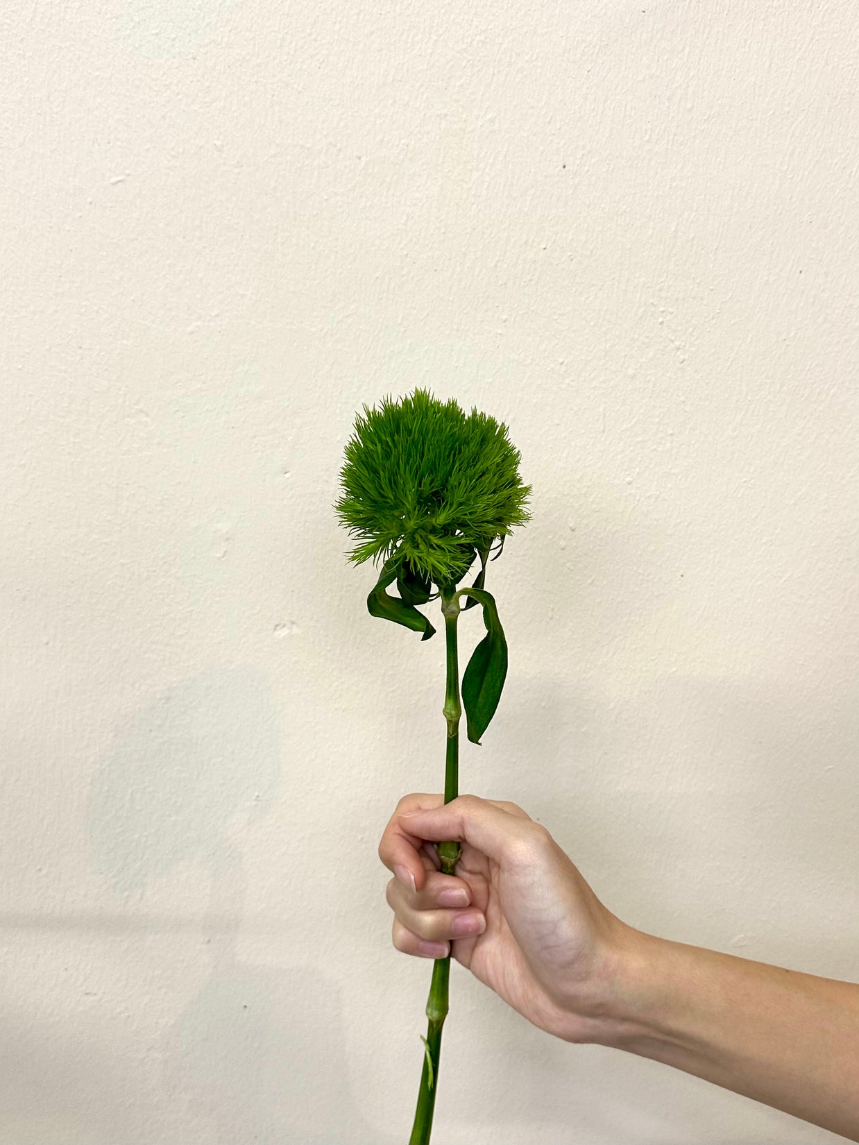 GREEN TRICK