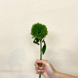 GREEN TRICK