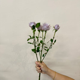 SPRAY ROSE LIGHT PURPLE