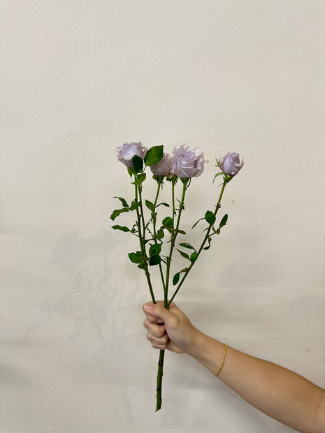 SPRAY ROSE LIGHT PURPLE