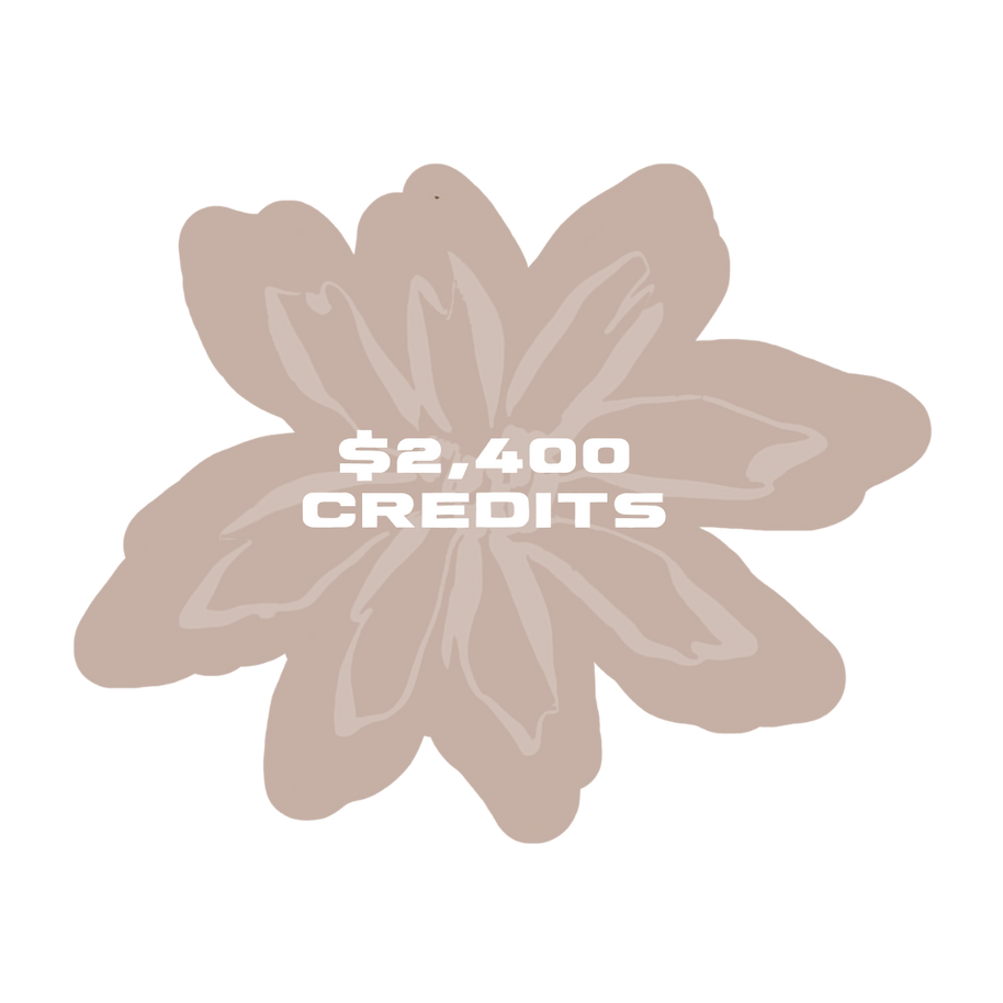 $2,400 Store Credit