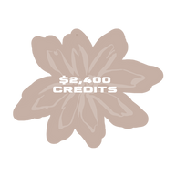 $2,400 Store Credit