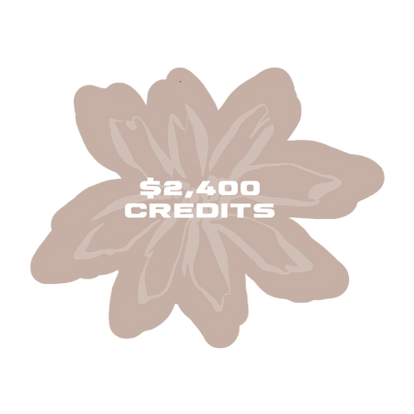 $2,400 Store Credit