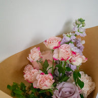 $30 Seasonal Bundle