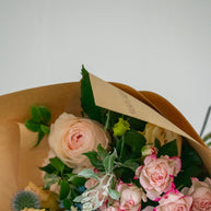 $50 Seasonal Bundle