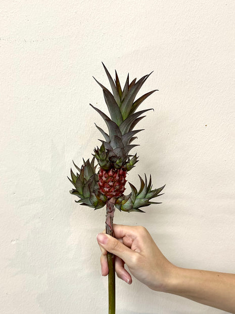 SMALL PINEAPPLE