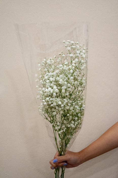 BABY BREATH WHITE