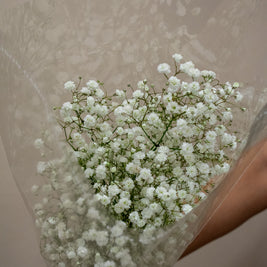 BABY BREATH WHITE