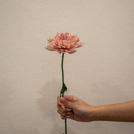 CHRYSANTHEMUM PEACH