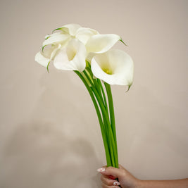 CALLA LILY WHITE