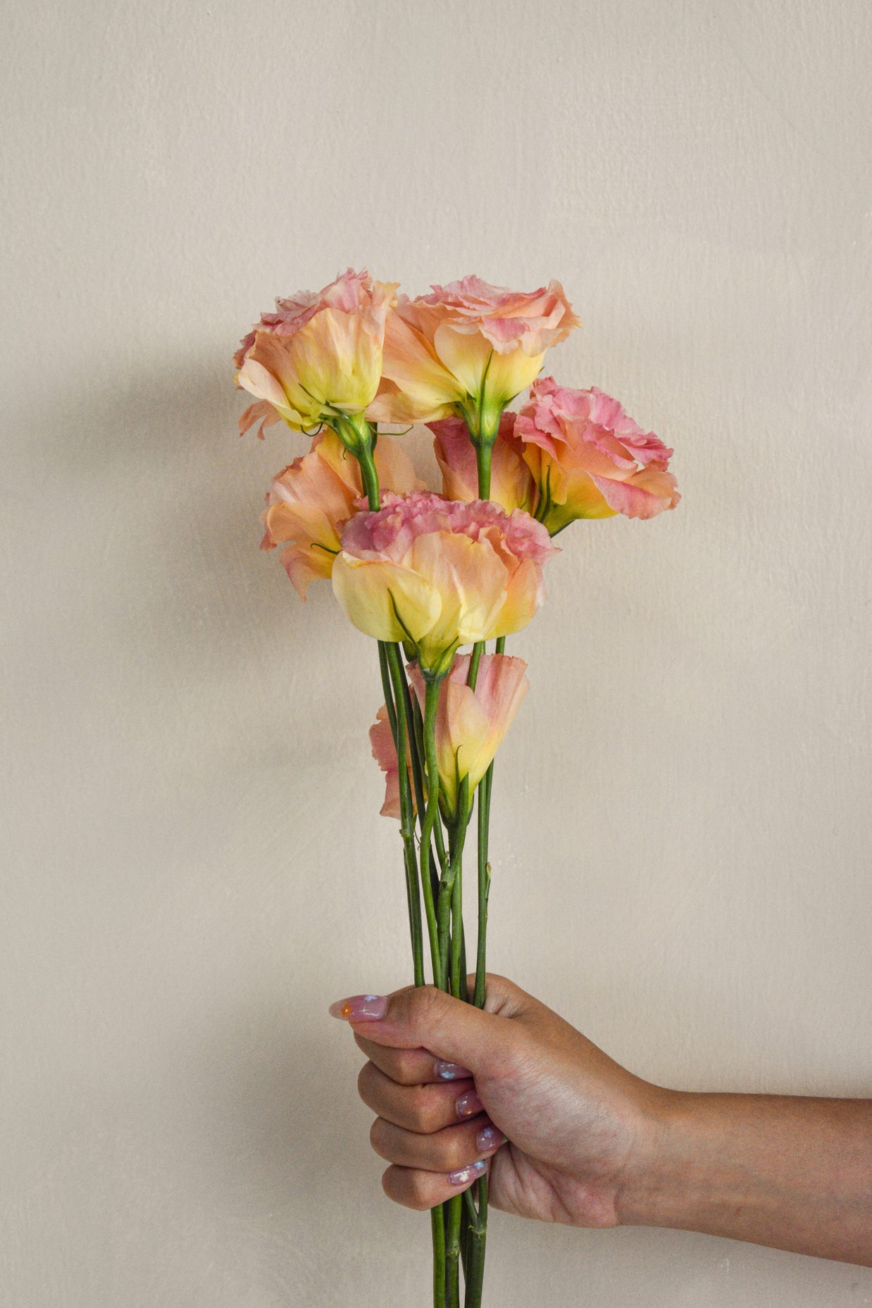 ChampagneEustoma