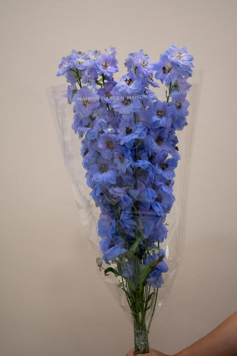 DELPHINIUM LAVENDER