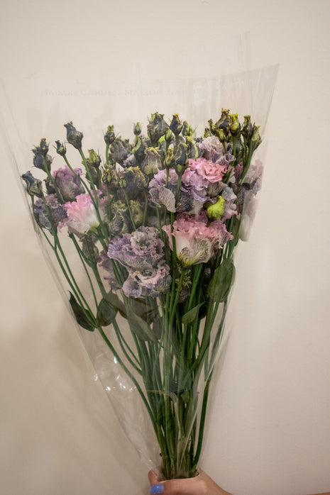 EUSTOMA BLACK ROSE