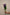 EUSTOMA BOHEMI BLACK VIOLET