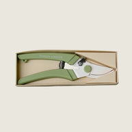 Floral Pruning