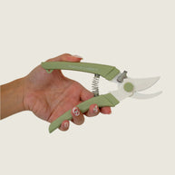 Floral Pruning
