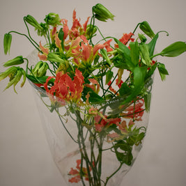 FLAME LILIES