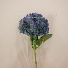HYDRANGEA AUBERGINE