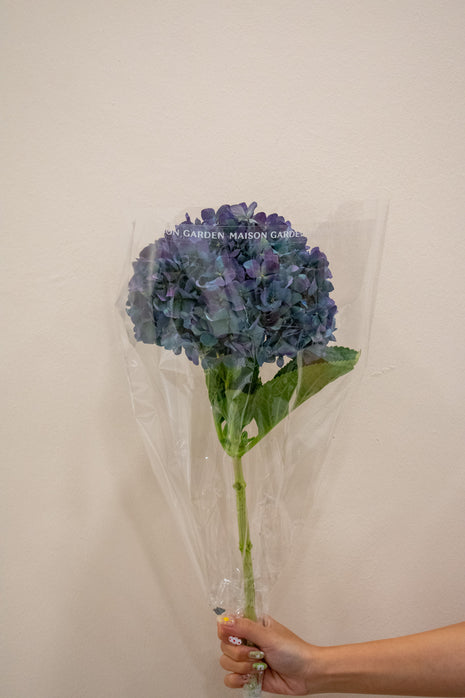 HYDRANGEA AUBERGINE