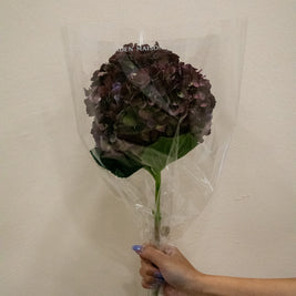 HYDRANGEA MAGICAL RUBY GLOW