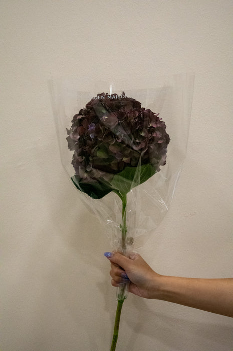 HYDRANGEA MAGICAL RUBY GLOW