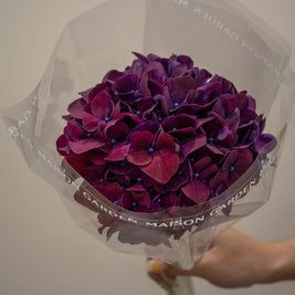 HYDRANGEA RUBY AUBERGINE