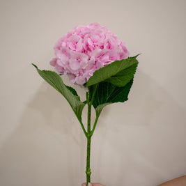 HYDRANGEA LIGHT PINK