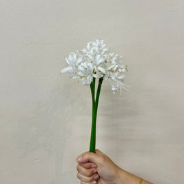 NERINE ADELE WHITE
