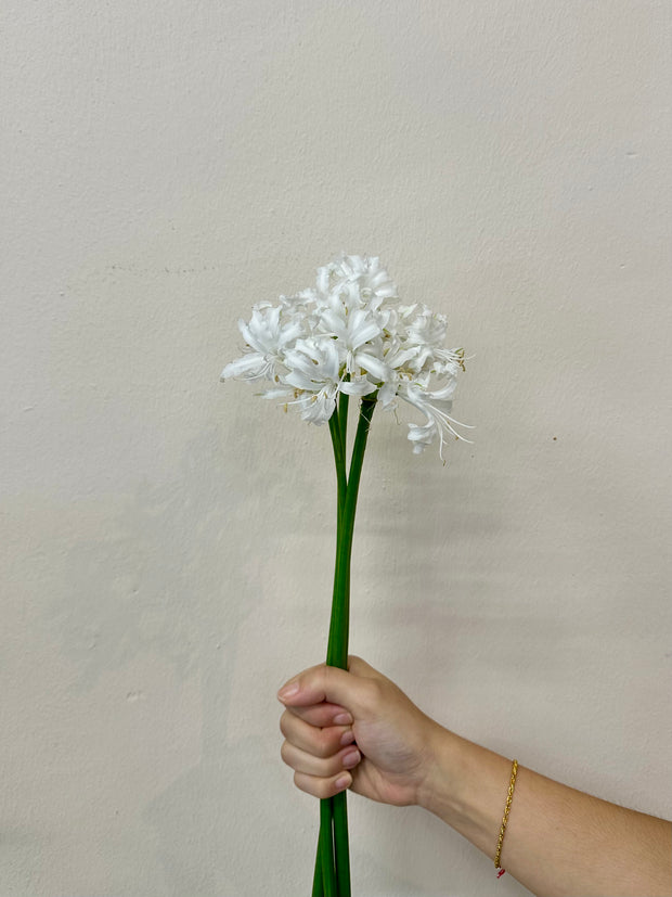 NERINE ADELE WHITE