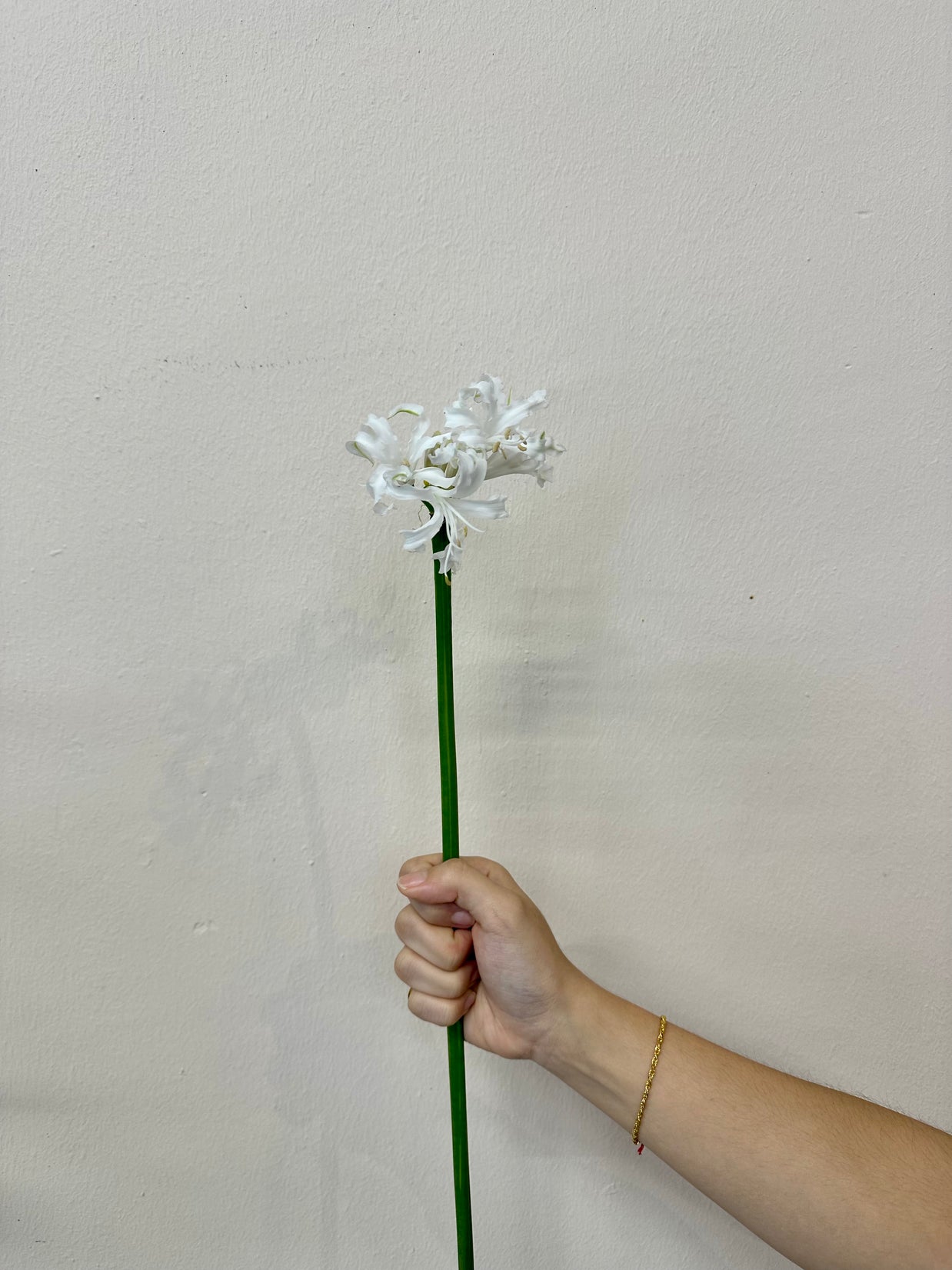 NERINE ADELE WHITE