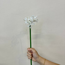 NERINE ADELE WHITE