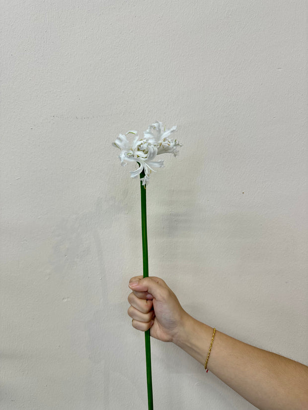 NERINE ADELE WHITE