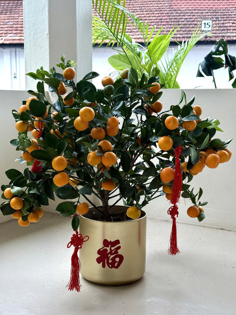 Golden Mandarin Pot