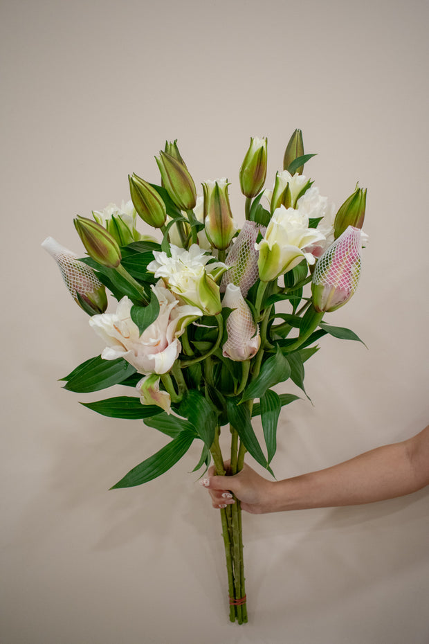 LILY DOUBLE PETAL PINK