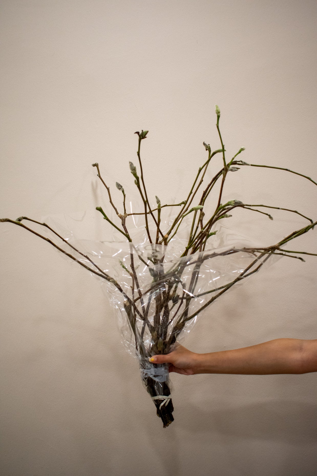MAGNOLIA DECO BRANCHES