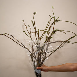 MAGNOLIA DECO BRANCHES