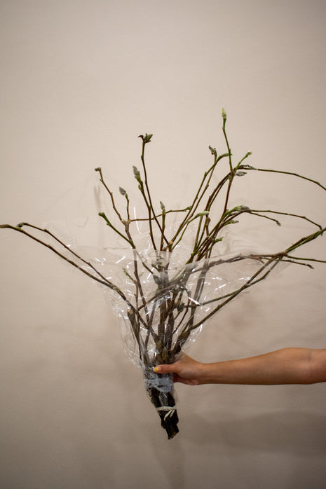 MAGNOLIA DECO BRANCHES
