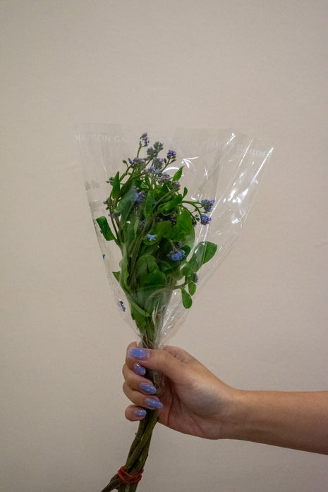MYOSOTIS BLUE