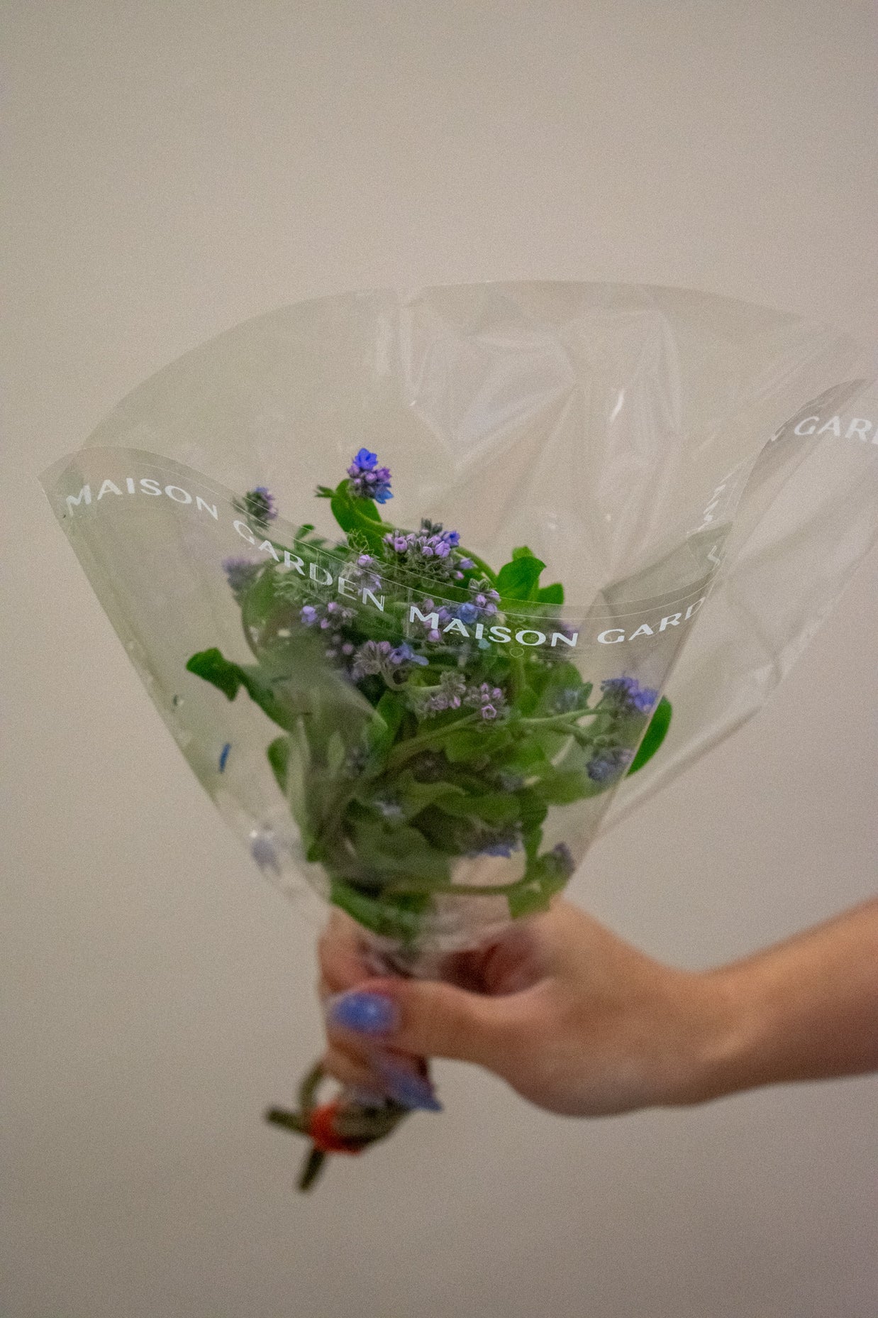 MYOSOTIS BLUE