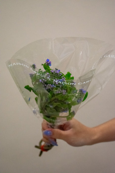 MYOSOTIS BLUE