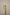 ORNITHOGALUM