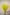 ONCIDIUM YELLOW